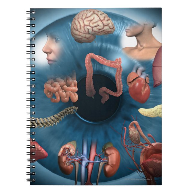 Cuaderno Iridología (Frente)