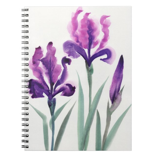 Cuaderno Iris (Frente)