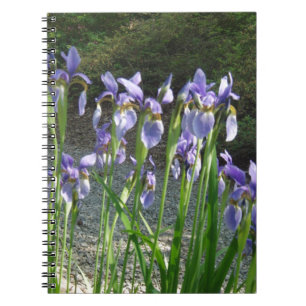 Cuaderno Iris azul