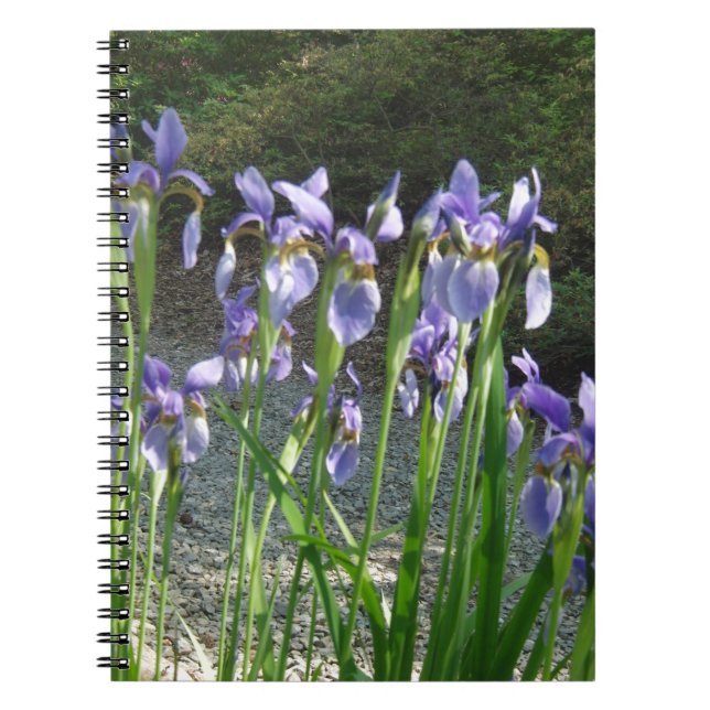 Cuaderno Iris azul (Frente)