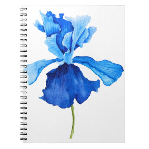 Cuaderno iris azul