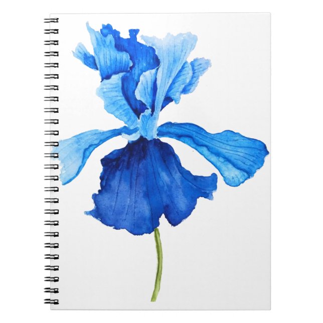 Cuaderno iris azul (Frente)