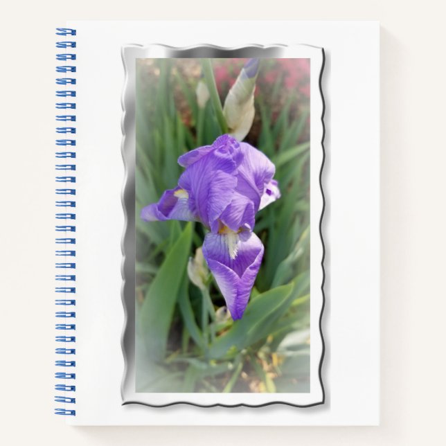 Cuaderno Iris azul claro hermoso (Anverso)
