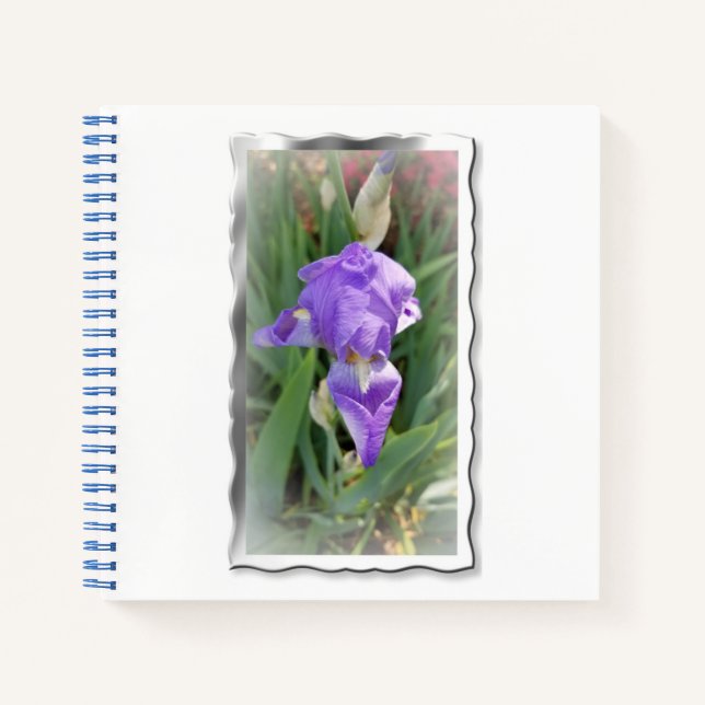 Cuaderno Iris azul claro hermoso (Anverso)