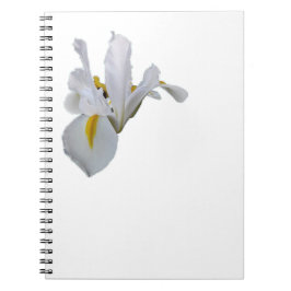 Cuaderno Iris blanco con centro amarillo