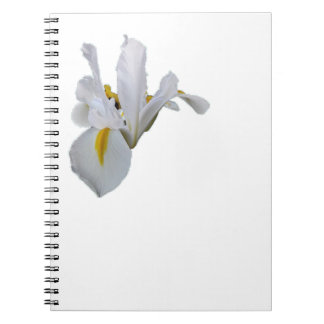 Cuaderno Iris blanco con centro amarillo