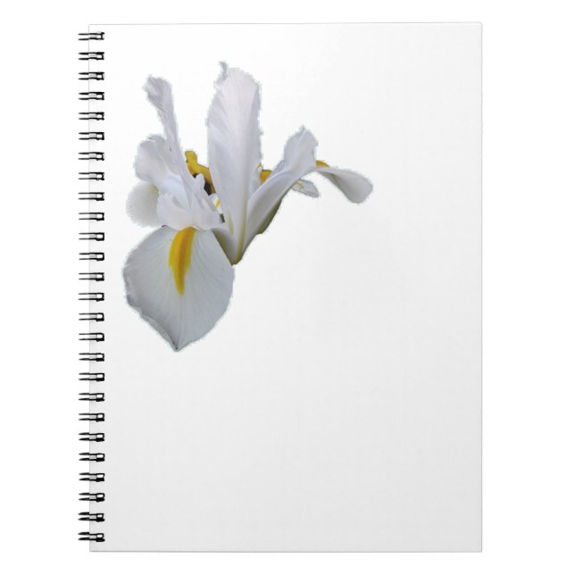 Cuaderno Iris blanco con centro amarillo (Frente)