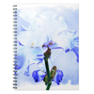 Cuaderno Iris Con Barba - Azul Y Blanco