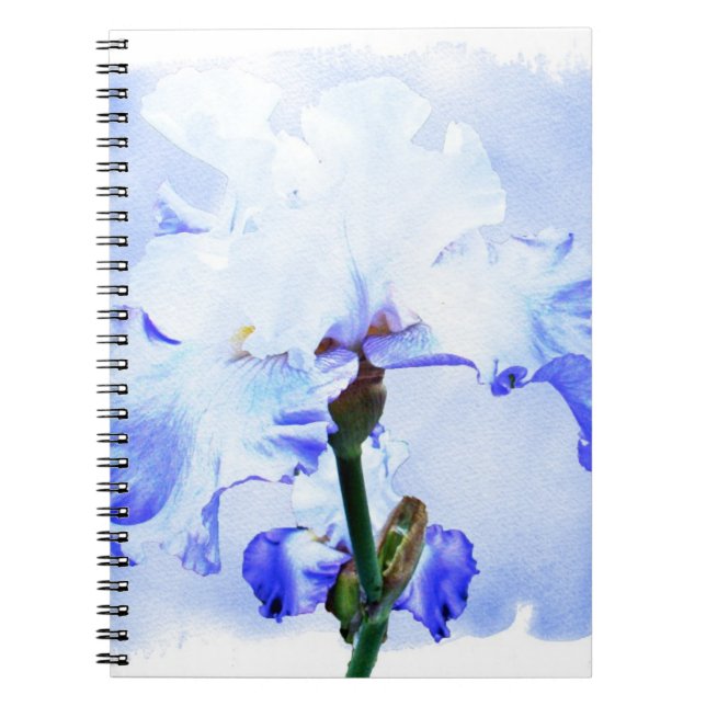 Cuaderno Iris Con Barba - Azul Y Blanco (Frente)