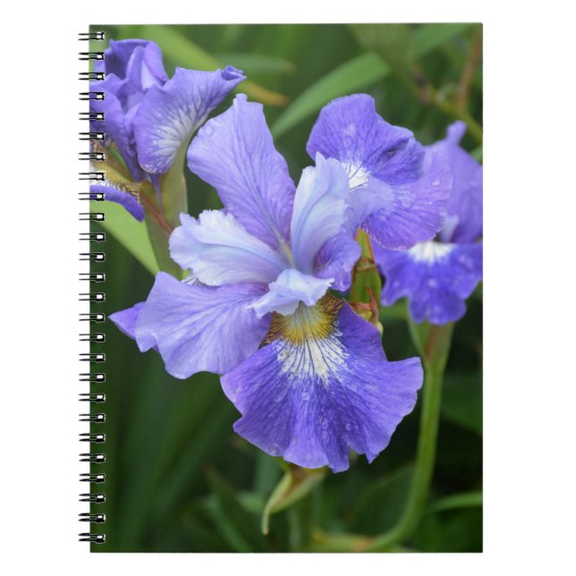 Cuaderno Iris morado (Frente)
