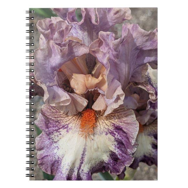 Cuaderno Iris morado y blanco con floral de barba Naranja (Frente)