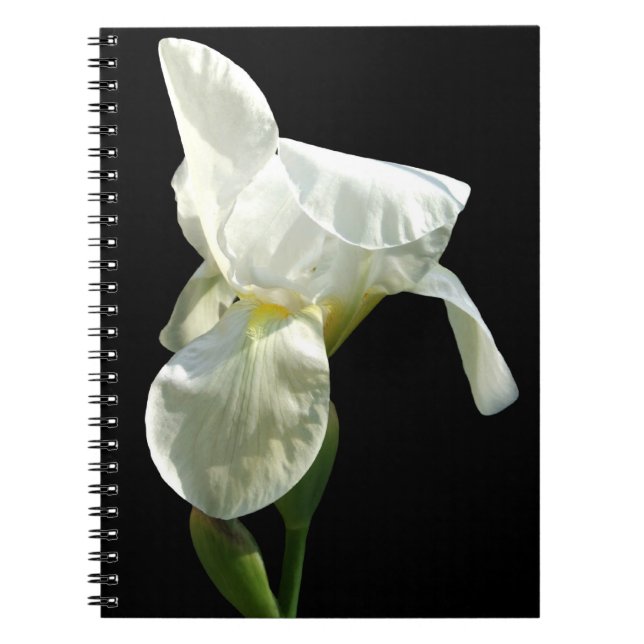 Cuaderno Iris Notebook (Frente)