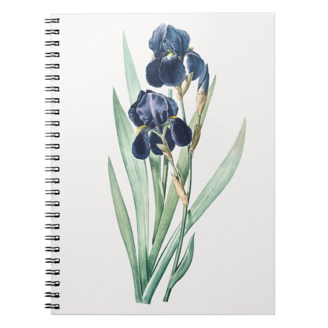 Cuaderno Iris Notebook (Frente)