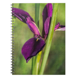 Cuaderno Iris púrpura del gallo de pelea de Luisiana