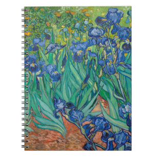 Cuaderno Irlandeses, 1889
