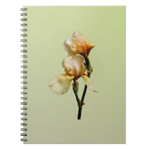 Cuaderno Irlandeses de color rosa