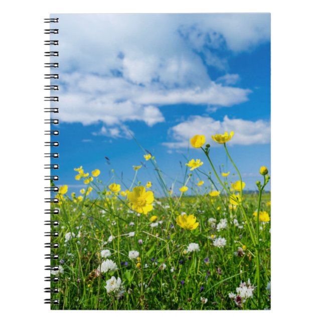 Cuaderno isla de South Uist | Escocia (Frente)