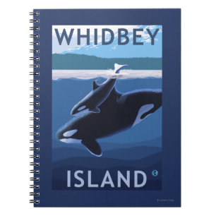 Cuaderno Isla, WashingtonOrca y becerro de Whidbey