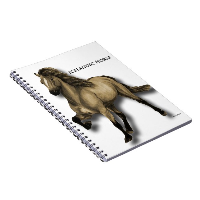 Cuaderno Islandés vintage (Lado Derecho)