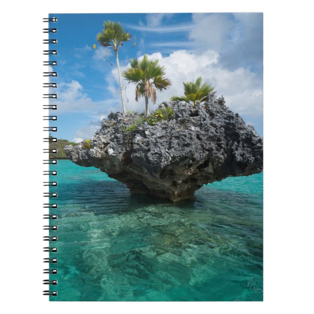 Cuaderno Islotes de Hongos en Fiji (Frente)