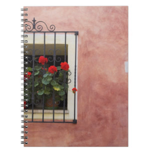 Cuaderno Italia, Asciano, cajas de ventana con primavera fr