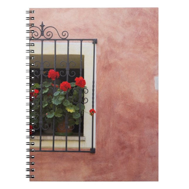 Cuaderno Italia, Asciano, cajas de ventana con primavera fr (Frente)