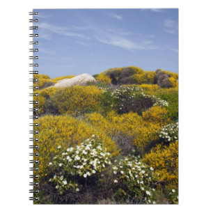Cuaderno Italia, Cerdeña, Santa Teresa Gallura. Capo 3