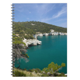 Cuaderno Italia, Puglia, Promontorio del Gargano, Testa