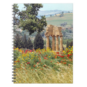 Cuaderno Italia, Sicilia, Agrigento. Las ruinas de la