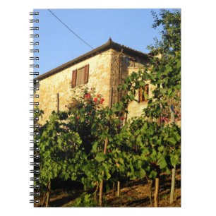 Cuaderno Italia, Toscana, Greve. Escenas vinícolas de final