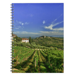 Cuaderno Italia, Toscana, Greve. Los viñedos de Castello