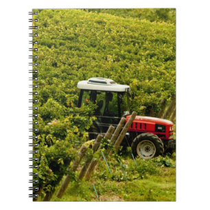 Cuaderno Italia, Toscana, Greve. Recolectores trabajando du