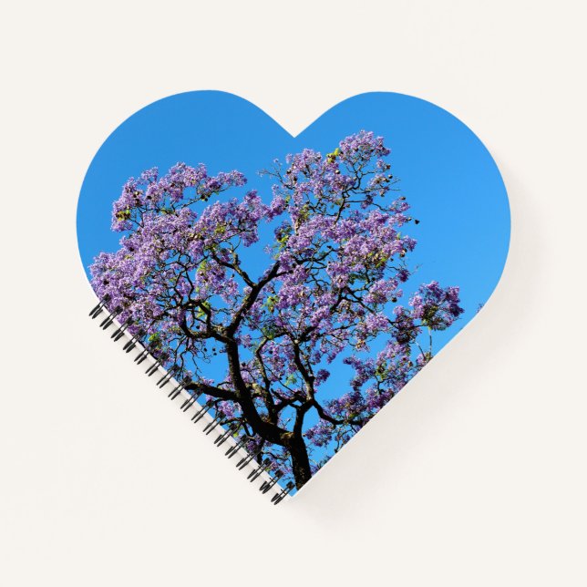 Cuaderno Jacaranda (Anverso)