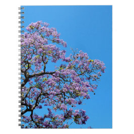 Cuaderno Jacaranda