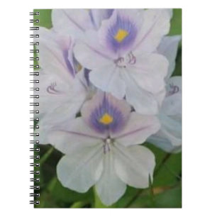 Cuaderno Jacinto de Agua en Flor - Flor Acuática Tropical