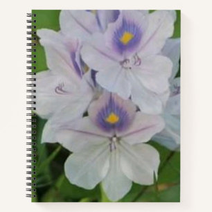 Cuaderno Jacinto de Agua en Flor - Flor Acuática Tropical