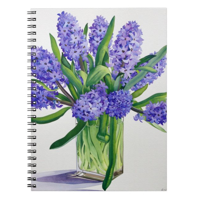 Cuaderno Jacintos azules (Frente)