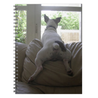 Cuaderno Jack Russell Terrier