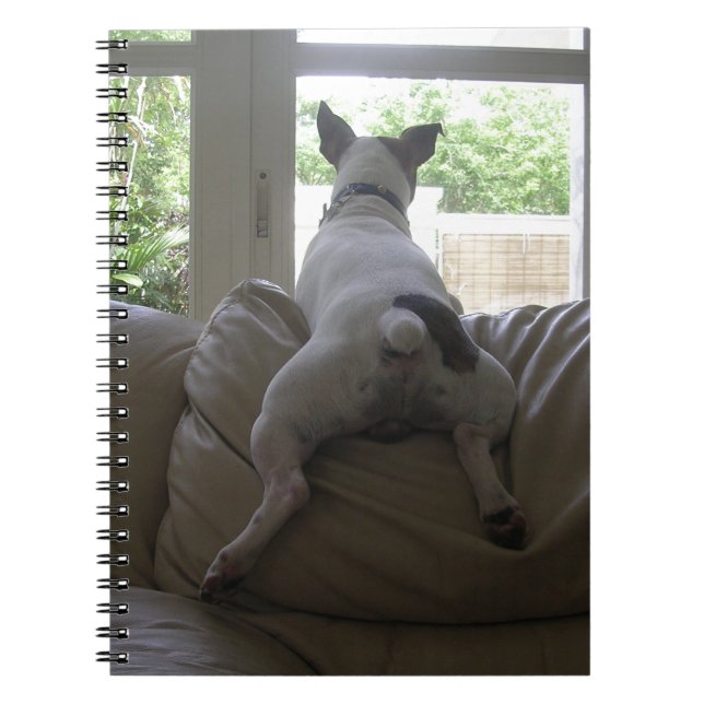 Cuaderno Jack Russell Terrier (Frente)
