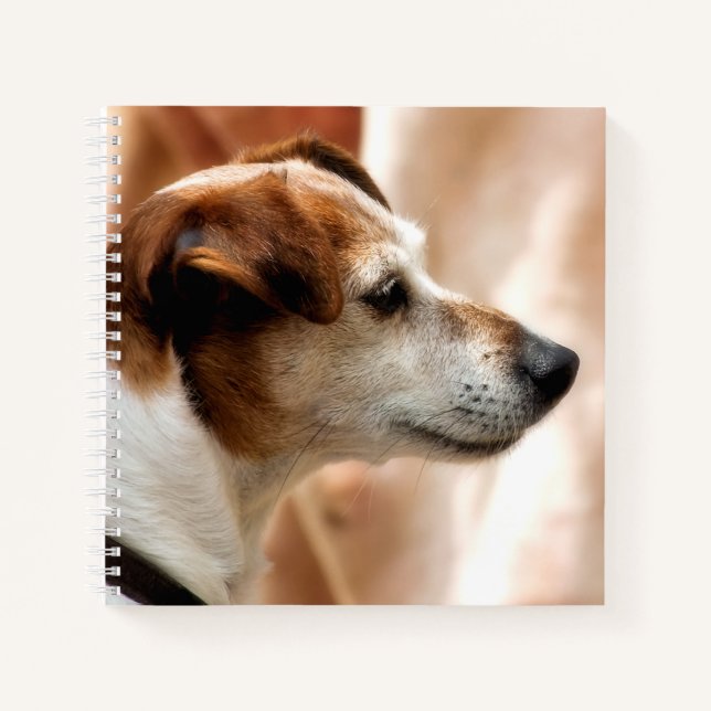 CUADERNO JACK RUSSELL TERRIER DOG (Anverso)
