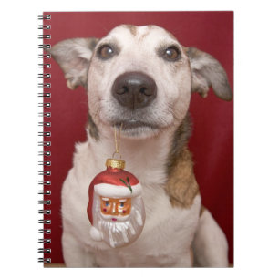 Cuaderno Jack Russell Terrier que sostiene el ornamento del