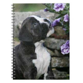Cuaderno Jadeo del perro del boxeador