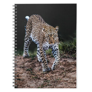 Cuaderno Jaguar