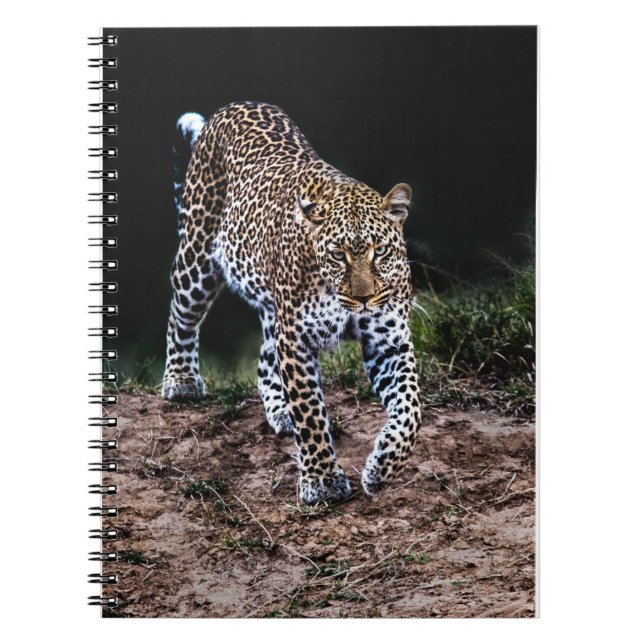 Cuaderno Jaguar (Frente)