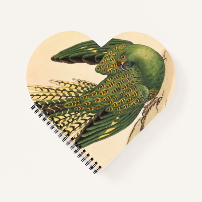 Cuaderno James Sowerby Ground Parrot, Psittacus terrestres (Anverso)