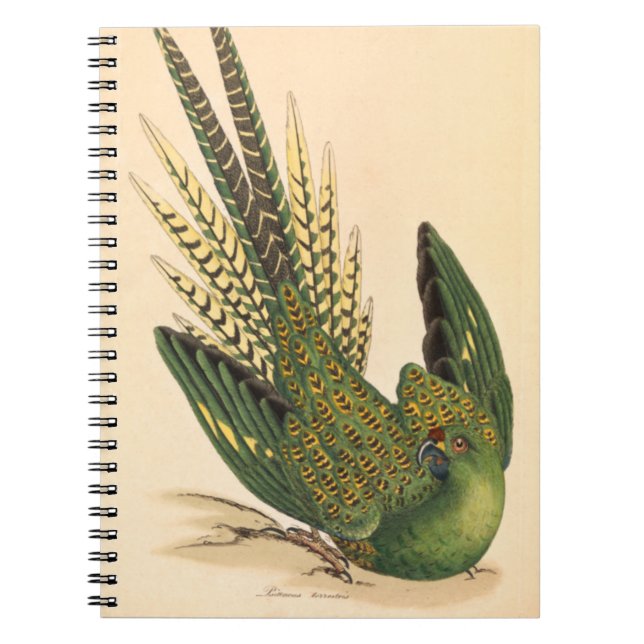 Cuaderno James Sowerby Ground Parrot, Psittacus terrestres (Frente)