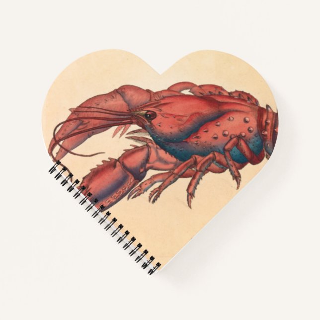 Cuaderno James Sowerby Serrate Lobster (Anverso)