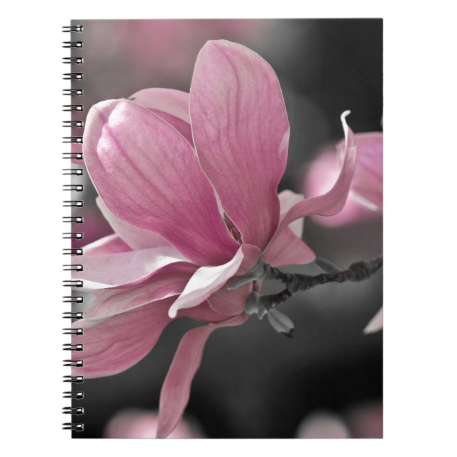 Cuaderno Japanese Pink Saucer Magnolia (Frente)