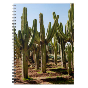 Cuaderno Jardín Cacti. Cactus altos verdes y suculentas cre