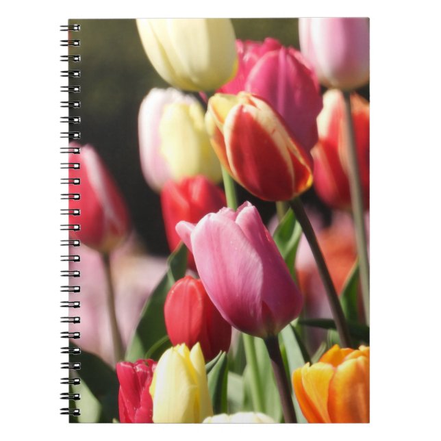 Cuaderno Jardín colorido de los Tulipanes (Frente)